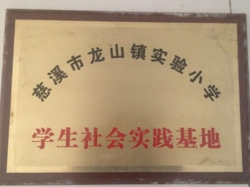 龍山鎮(zhèn)青少年社會實踐基地-1