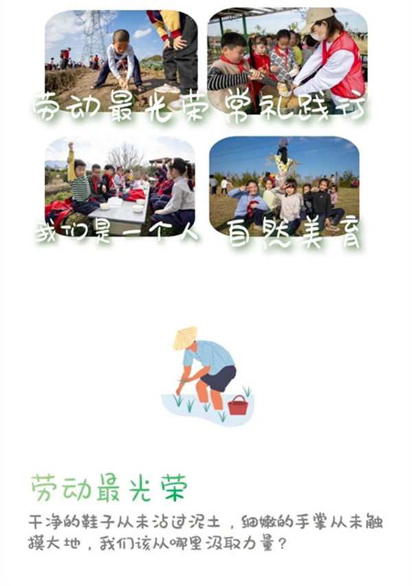 一碗炒飯，一日農民，一種感恩。(圖1)