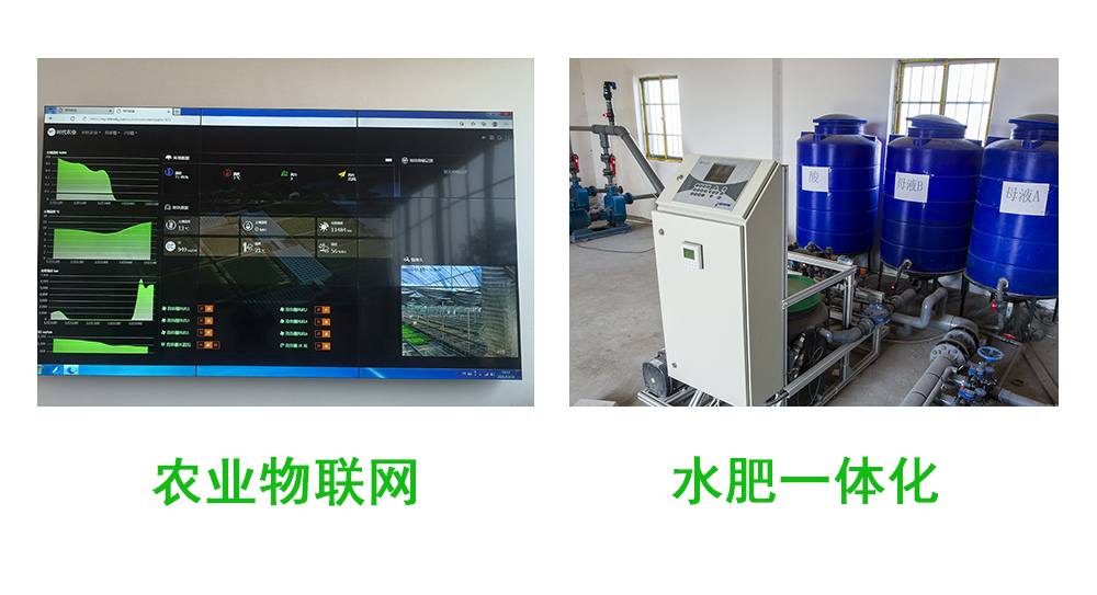 智慧農業(圖4) 1-2204151255233C.jpg